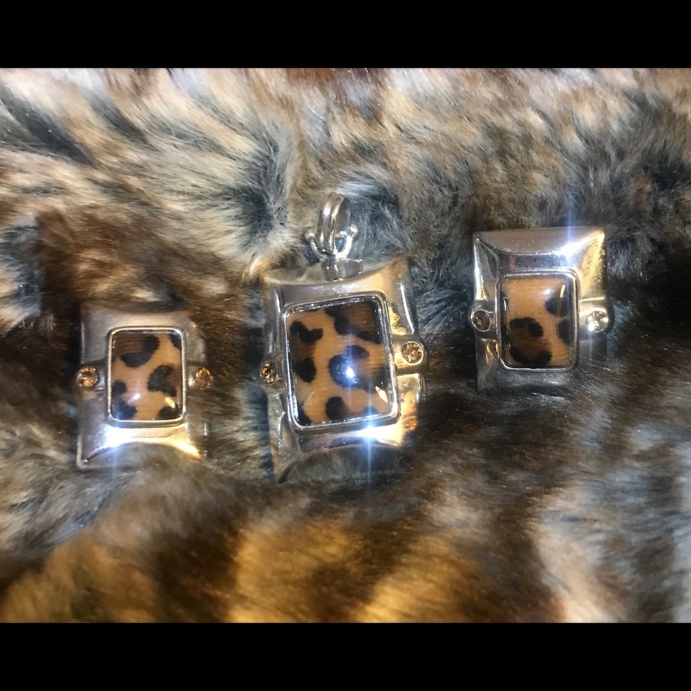 CLIP earrings and silvertone